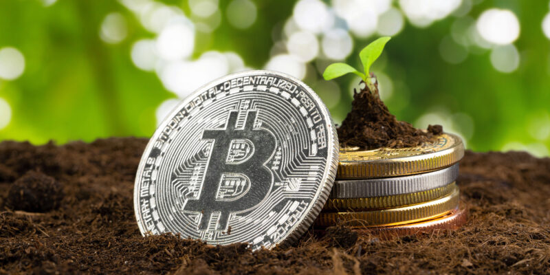 Esto es lo que debes saber sobre las criptomonedas ecológicas